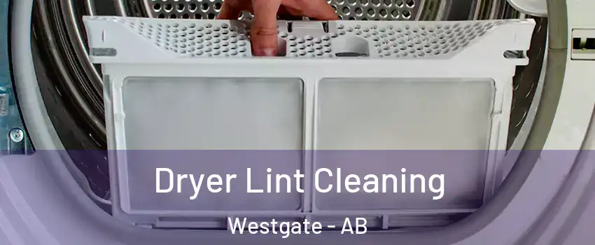  Dryer Lint Cleaning Westgate - AB