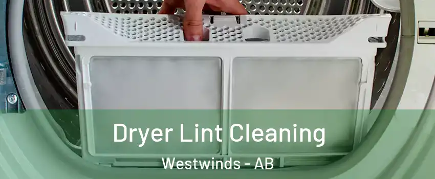  Dryer Lint Cleaning Westwinds - AB
