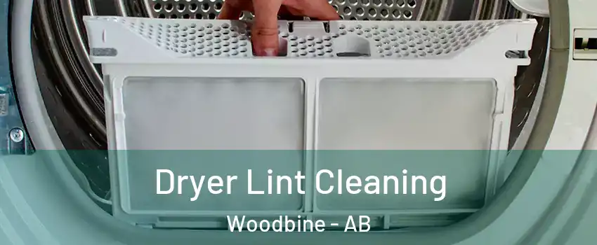  Dryer Lint Cleaning Woodbine - AB