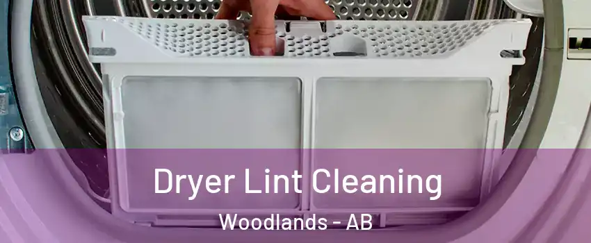  Dryer Lint Cleaning Woodlands - AB