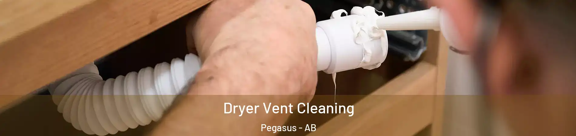  Dryer Vent Cleaning Pegasus - AB