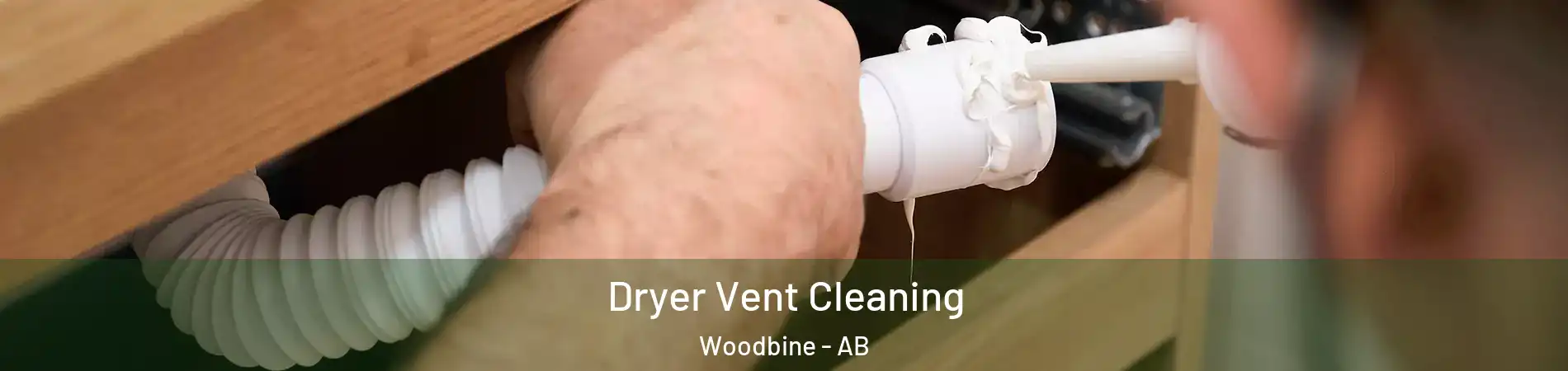  Dryer Vent Cleaning Woodbine - AB