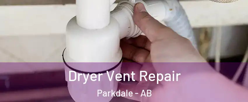  Dryer Vent Repair Parkdale - AB