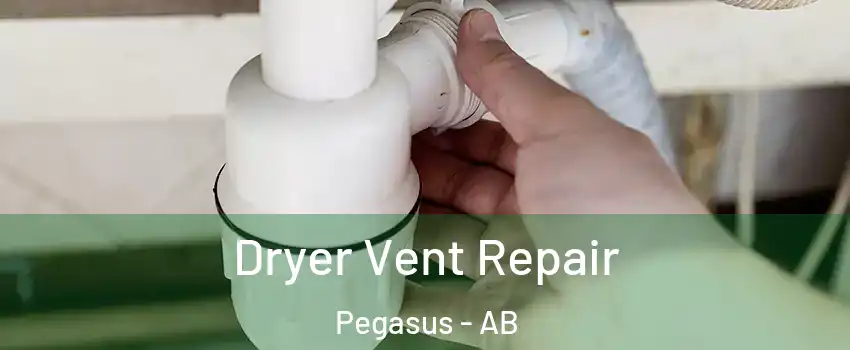  Dryer Vent Repair Pegasus - AB