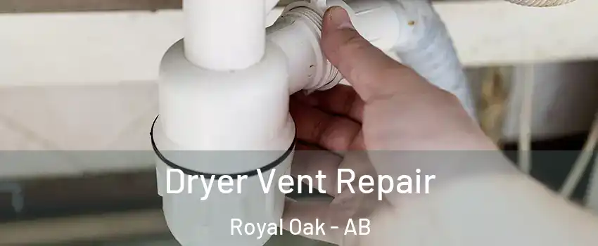  Dryer Vent Repair Royal Oak - AB