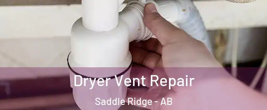 Dryer Vent Repair Saddle Ridge - AB