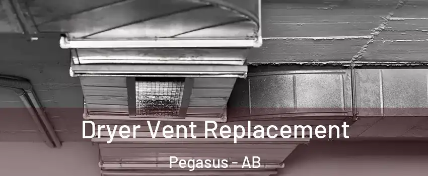  Dryer Vent Replacement Pegasus - AB