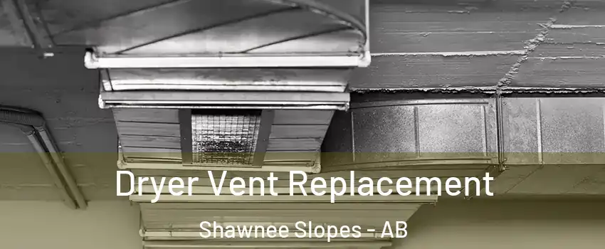  Dryer Vent Replacement Shawnee Slopes - AB