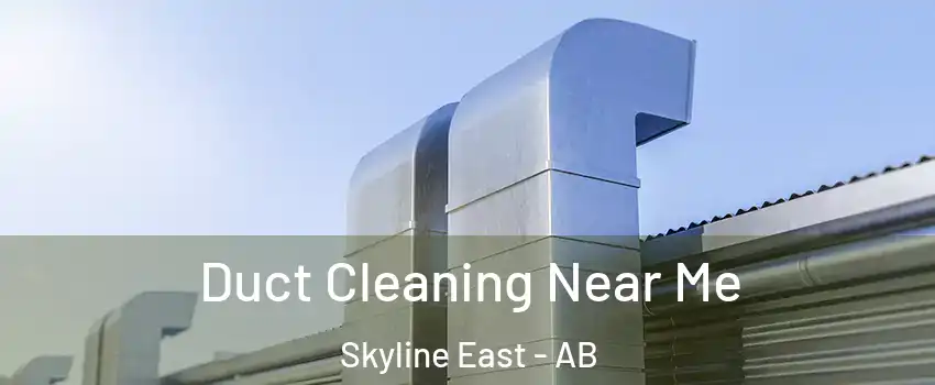  Duct Cleaning Near Me Skyline East - AB