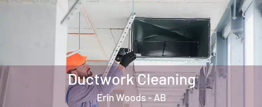  Ductwork Cleaning Erin Woods - AB
