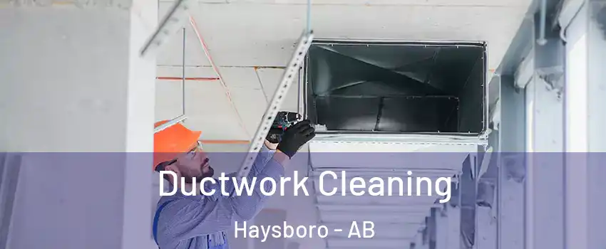  Ductwork Cleaning Haysboro - AB