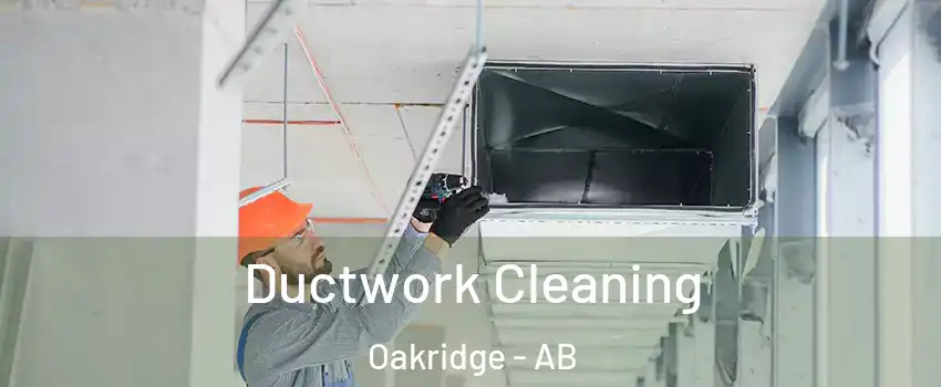  Ductwork Cleaning Oakridge - AB