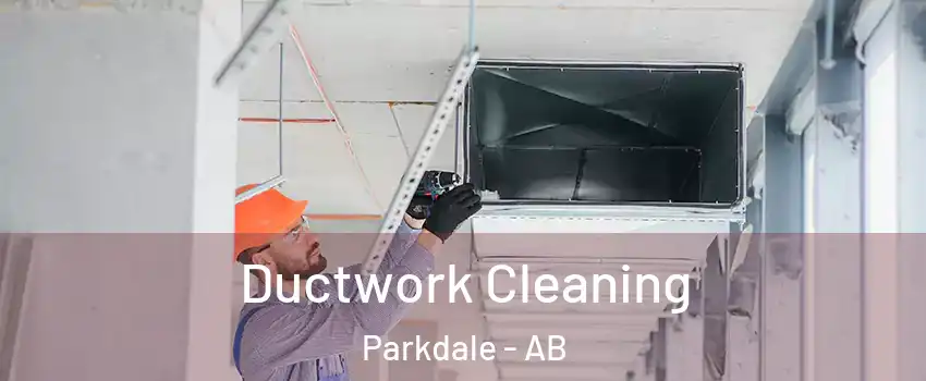  Ductwork Cleaning Parkdale - AB