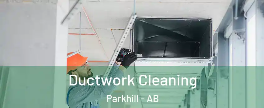  Ductwork Cleaning Parkhill - AB