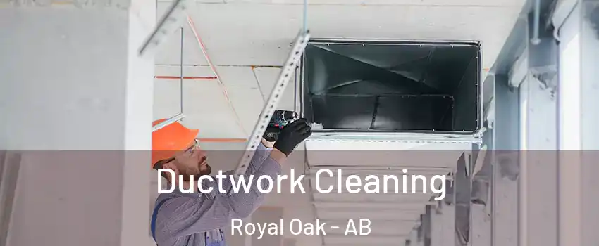  Ductwork Cleaning Royal Oak - AB