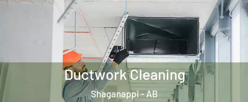  Ductwork Cleaning Shaganappi - AB