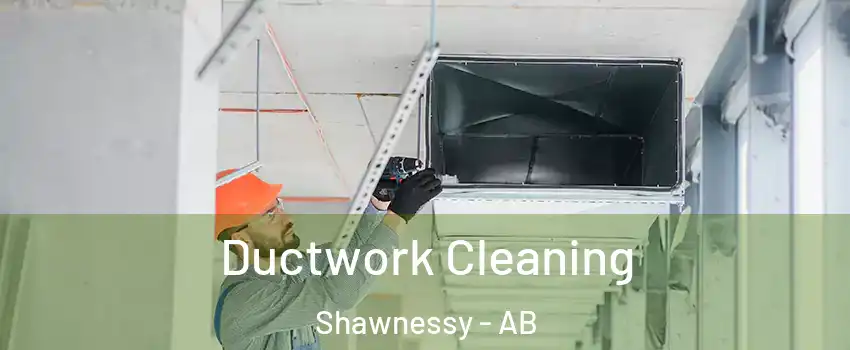  Ductwork Cleaning Shawnessy - AB