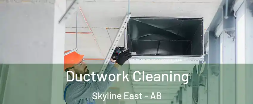  Ductwork Cleaning Skyline East - AB