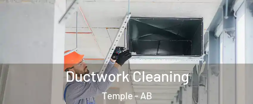  Ductwork Cleaning Temple - AB