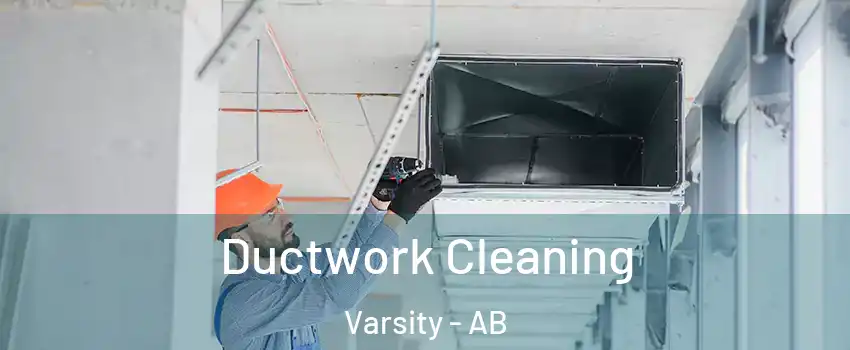  Ductwork Cleaning Varsity - AB