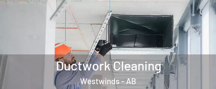  Ductwork Cleaning Westwinds - AB