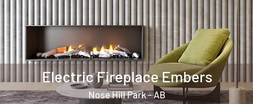  Electric Fireplace Embers Nose Hill Park - AB