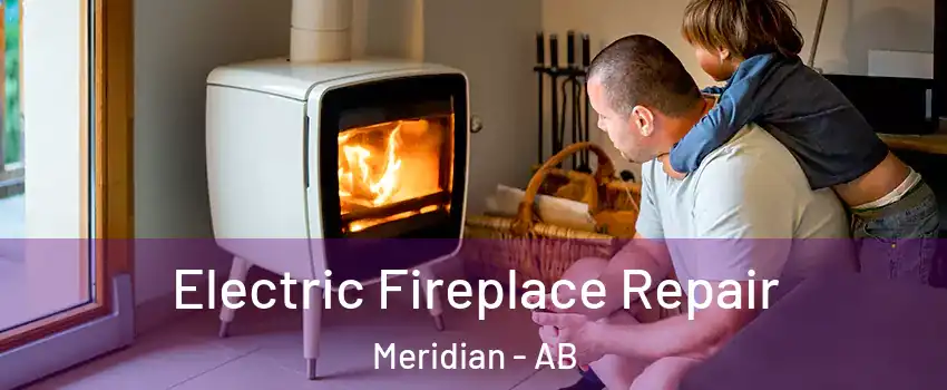  Electric Fireplace Repair Meridian - AB