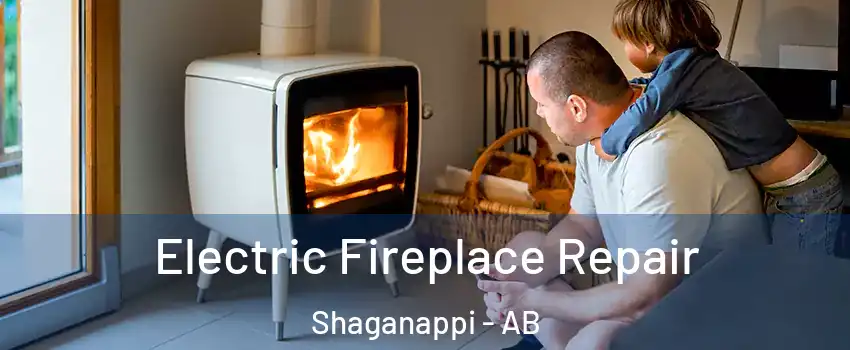  Electric Fireplace Repair Shaganappi - AB