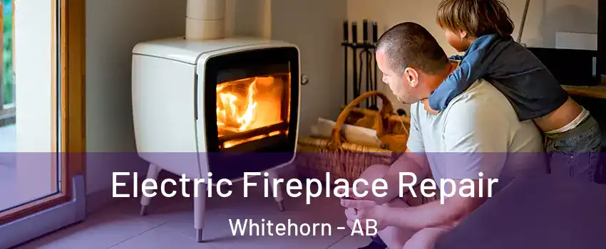  Electric Fireplace Repair Whitehorn - AB