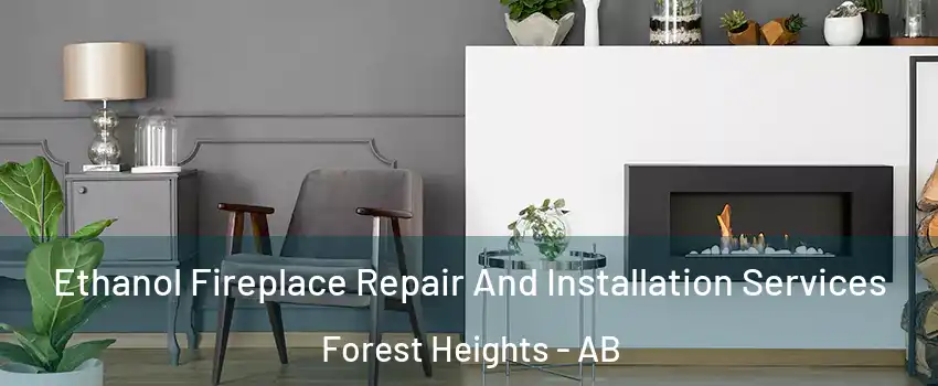  Ethanol Fireplace Repair And Installation Services Forest Heights - AB