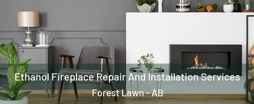  Ethanol Fireplace Repair And Installation Services Forest Lawn - AB