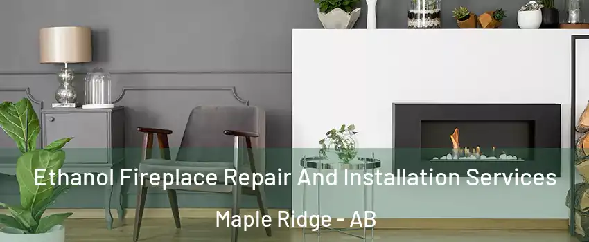  Ethanol Fireplace Repair And Installation Services Maple Ridge - AB