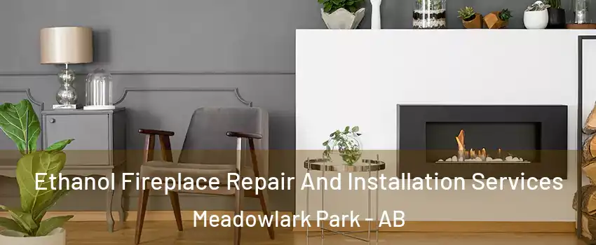  Ethanol Fireplace Repair And Installation Services Meadowlark Park - AB