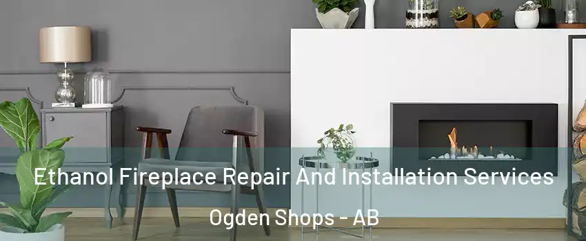  Ethanol Fireplace Repair And Installation Services Ogden Shops - AB
