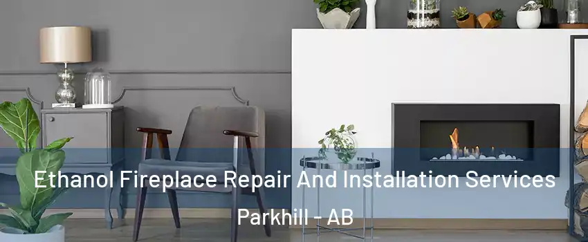  Ethanol Fireplace Repair And Installation Services Parkhill - AB