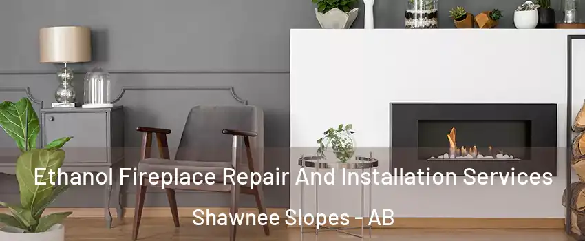  Ethanol Fireplace Repair And Installation Services Shawnee Slopes - AB
