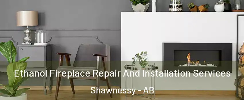  Ethanol Fireplace Repair And Installation Services Shawnessy - AB