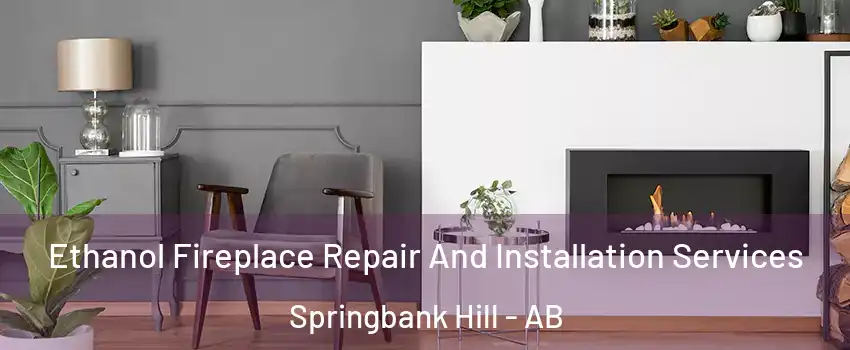  Ethanol Fireplace Repair And Installation Services Springbank Hill - AB