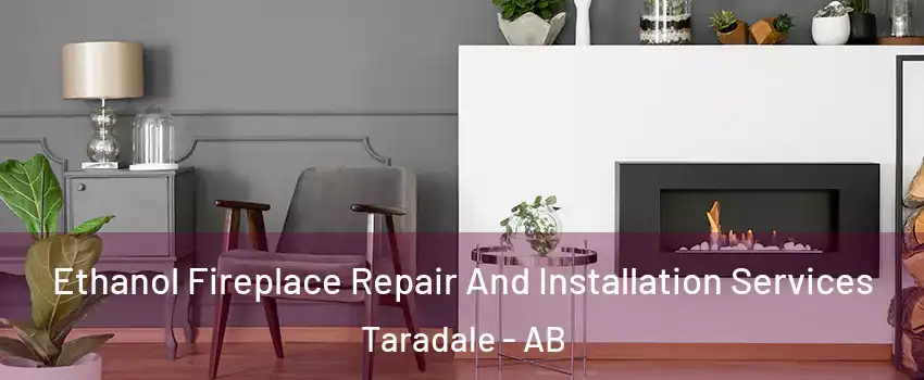  Ethanol Fireplace Repair And Installation Services Taradale - AB