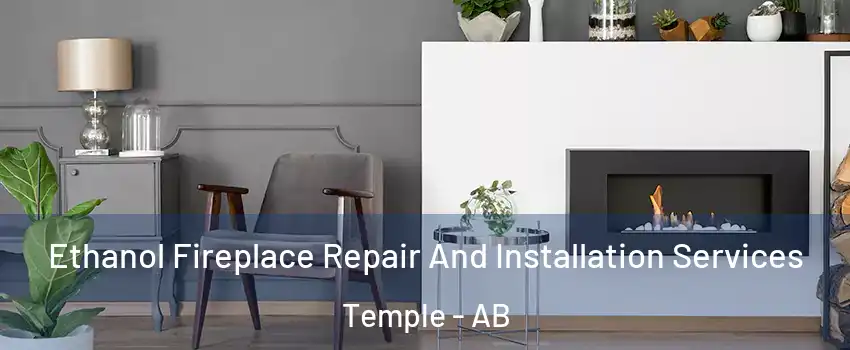  Ethanol Fireplace Repair And Installation Services Temple - AB
