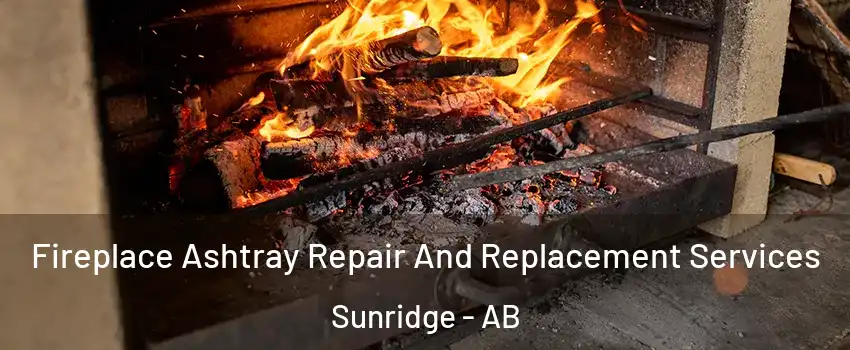  Fireplace Ashtray Repair And Replacement Services Sunridge - AB