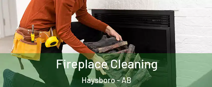  Fireplace Cleaning Haysboro - AB