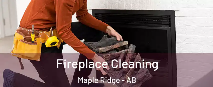  Fireplace Cleaning Maple Ridge - AB
