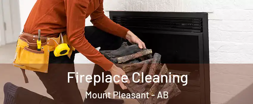  Fireplace Cleaning Mount Pleasant - AB