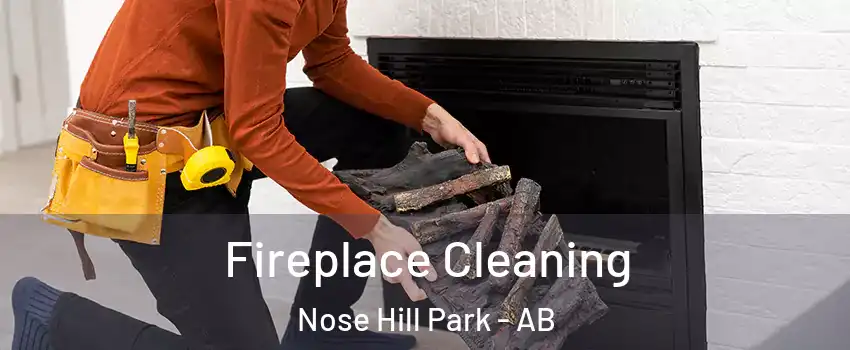  Fireplace Cleaning Nose Hill Park - AB
