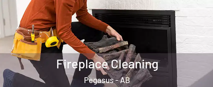  Fireplace Cleaning Pegasus - AB