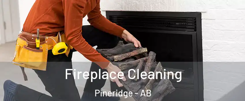  Fireplace Cleaning Pineridge - AB
