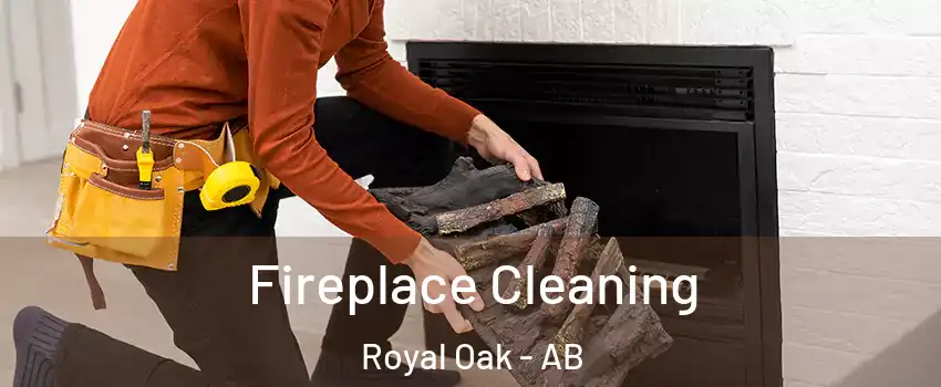  Fireplace Cleaning Royal Oak - AB