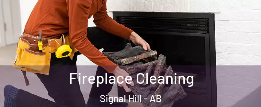  Fireplace Cleaning Signal Hill - AB