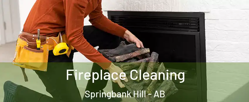  Fireplace Cleaning Springbank Hill - AB